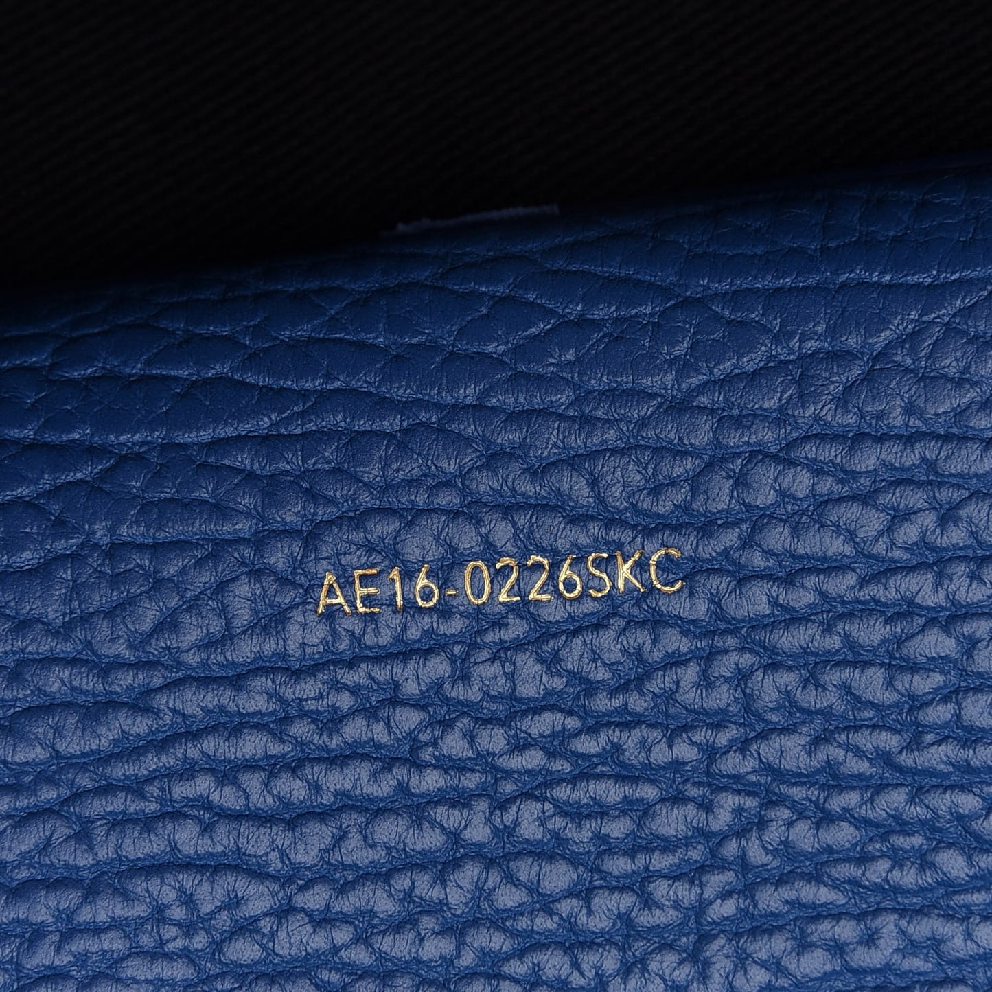 Textured Calfskin Mini Pashli Satchel Cerulean