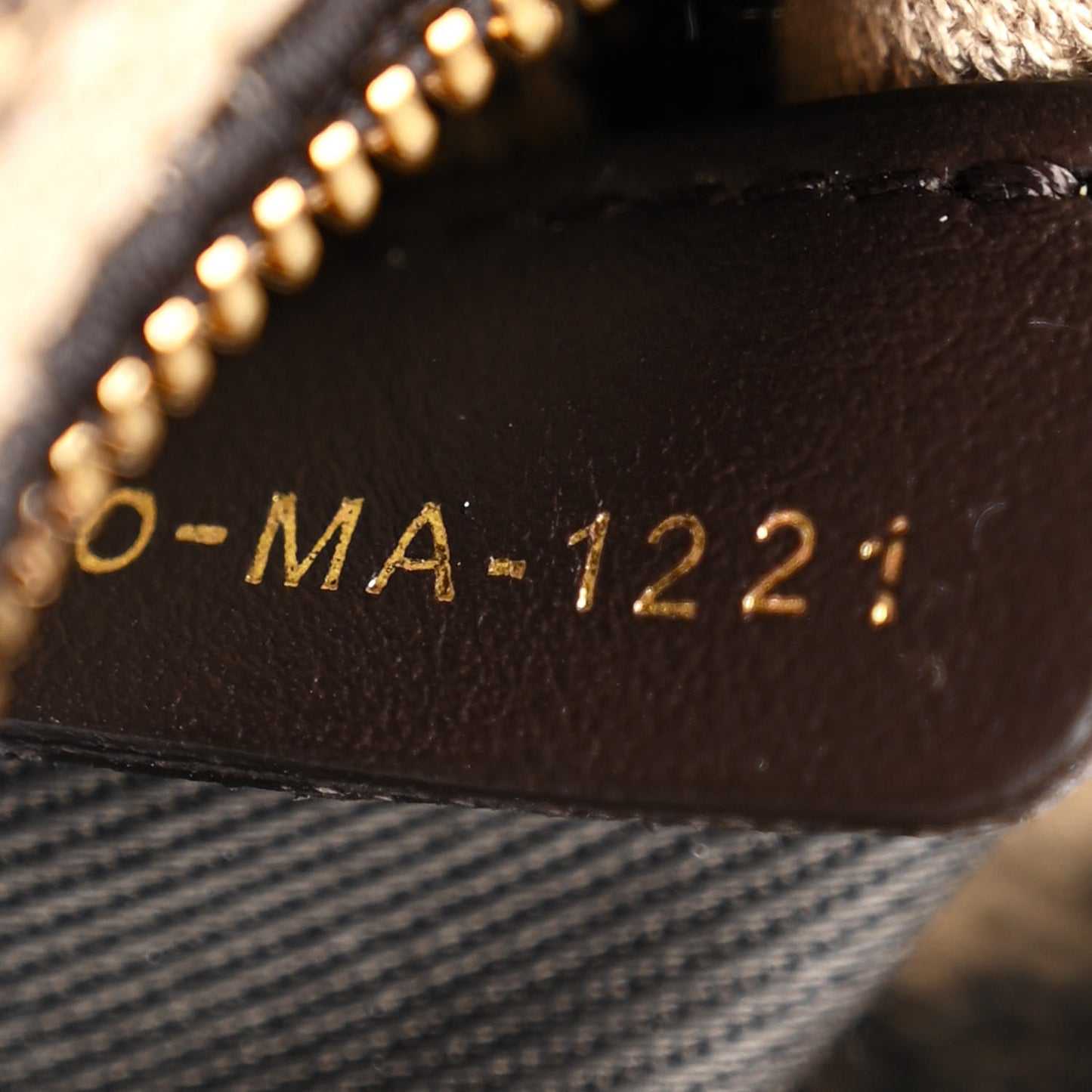 Canvas Medium Mizza Embroidered Lady D-Lite Beige Multicolor