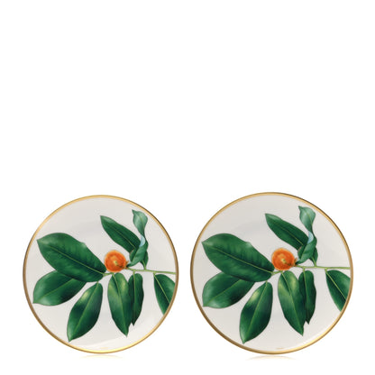 Hermes Porcelain Passifolia Bread and Butter Plate N°2 Set of 2 1 of 6