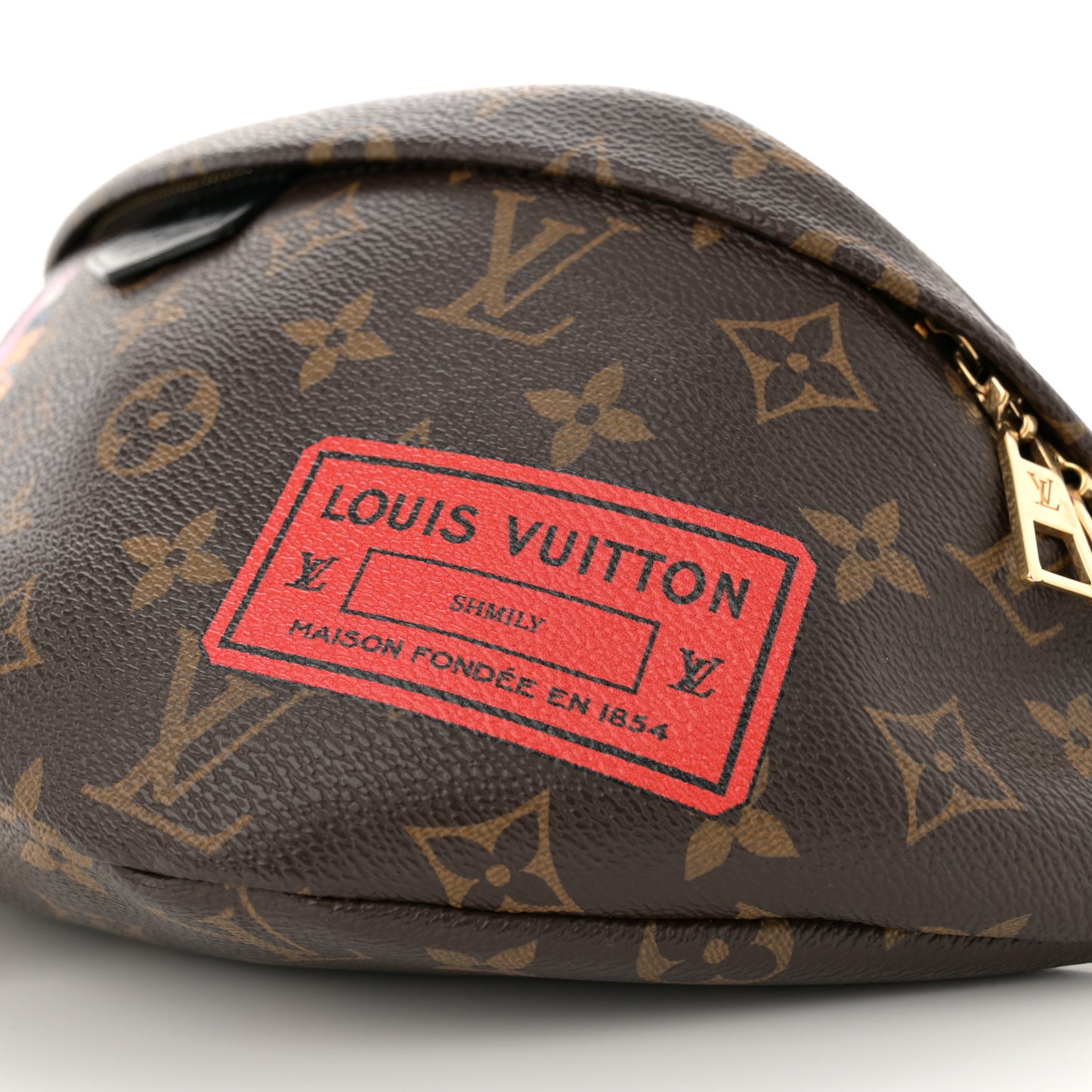 Monogram My LV World Tour Bumbag