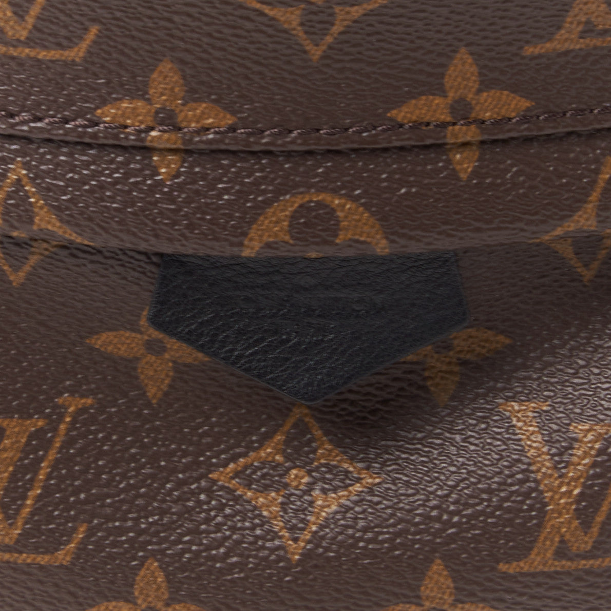 Monogram Palm Springs Backpack PM
