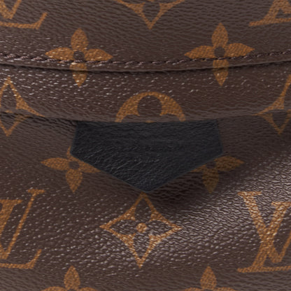 Louis Vuitton Monogram Palm Springs Backpack PM 8 of 9
