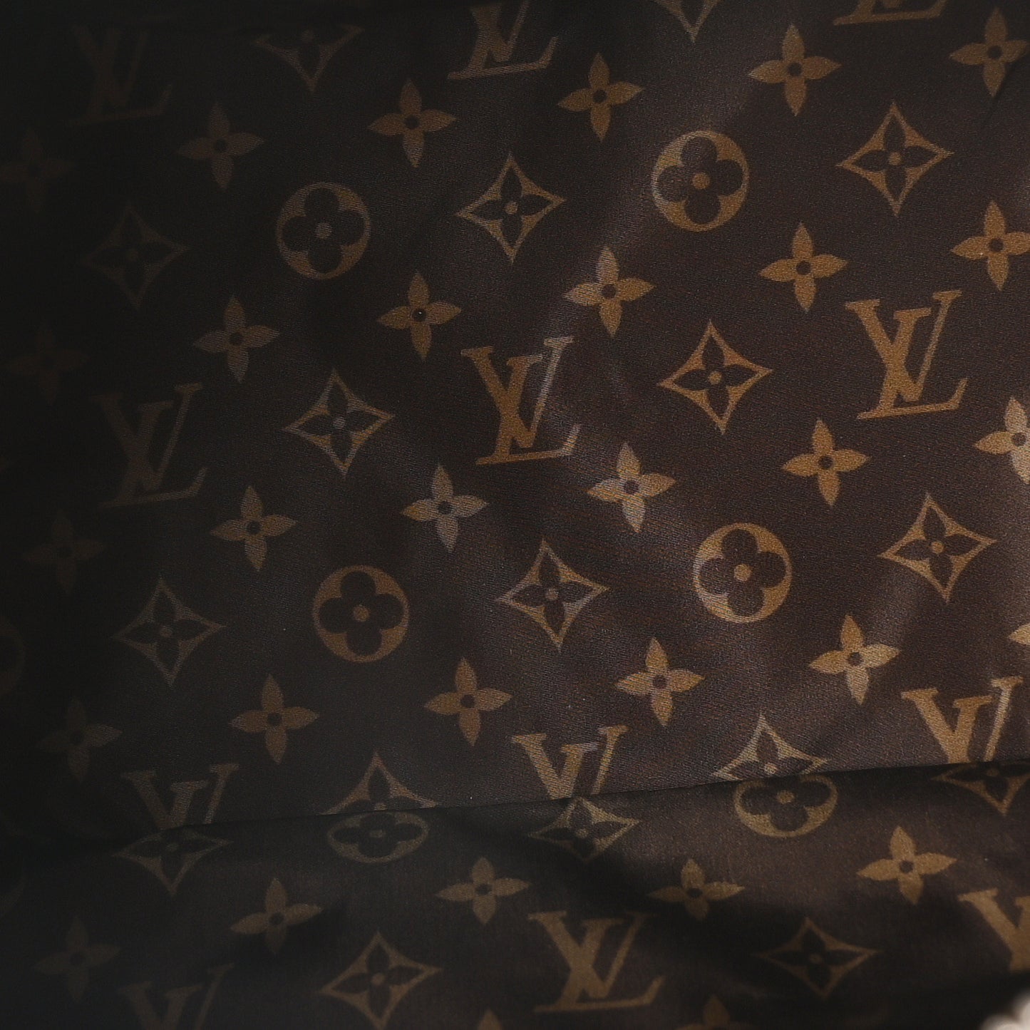 Econyl Mini Monogram Pillow Speedy Bandouliere 25 Silver