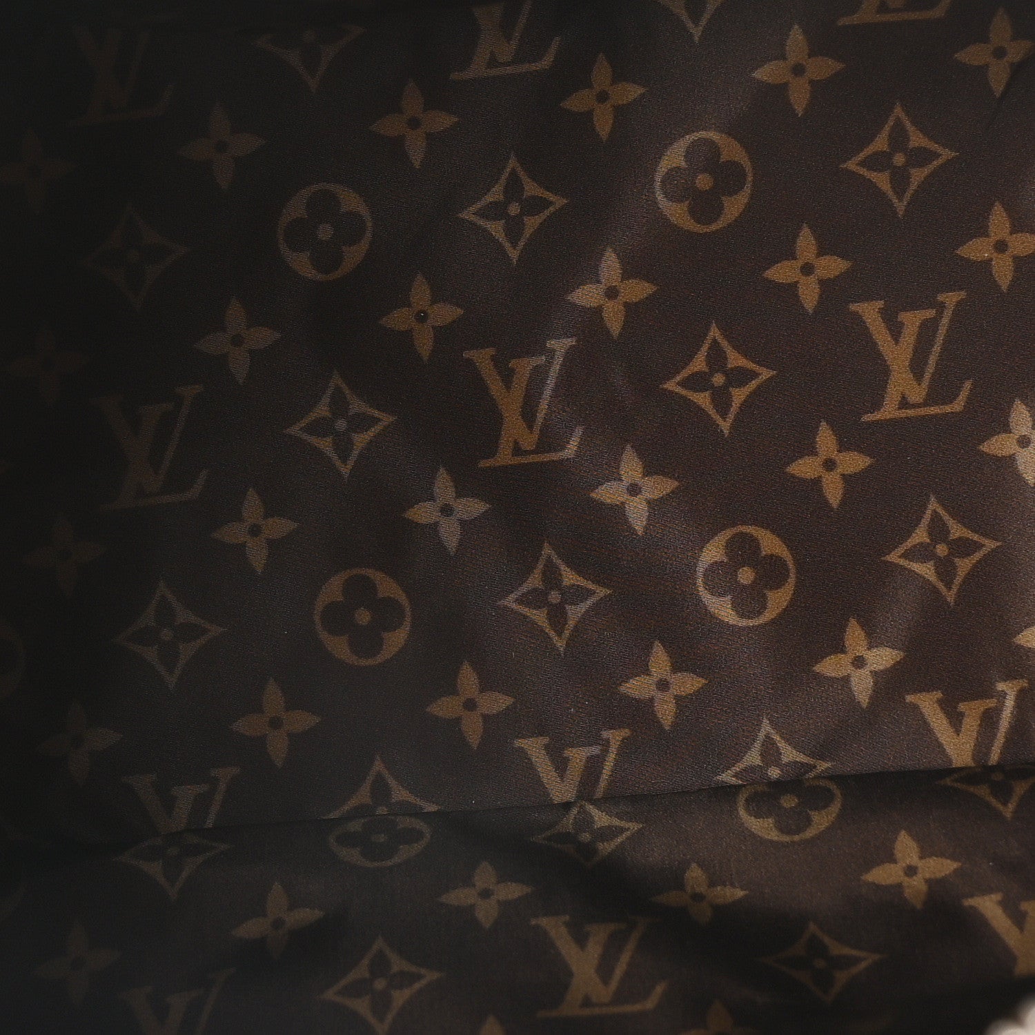 Louis Vuitton Econyl Mini Monogram Pillow Speedy Bandouliere 25 Silver 5 of 9