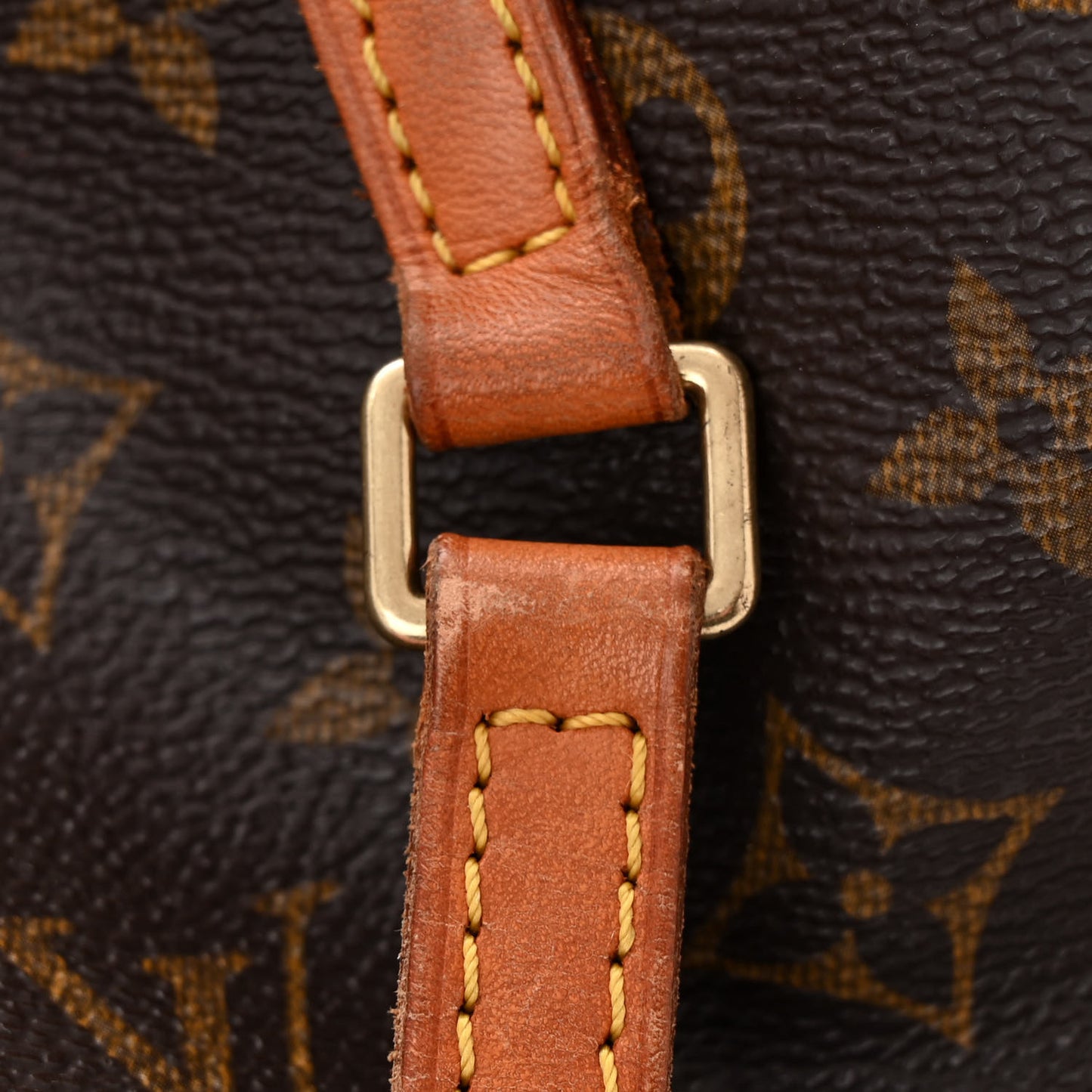 Monogram Papillon 30
