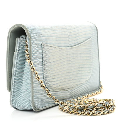Chanel Lizard Wallet on Chain WOC Light Grey 3 of 19