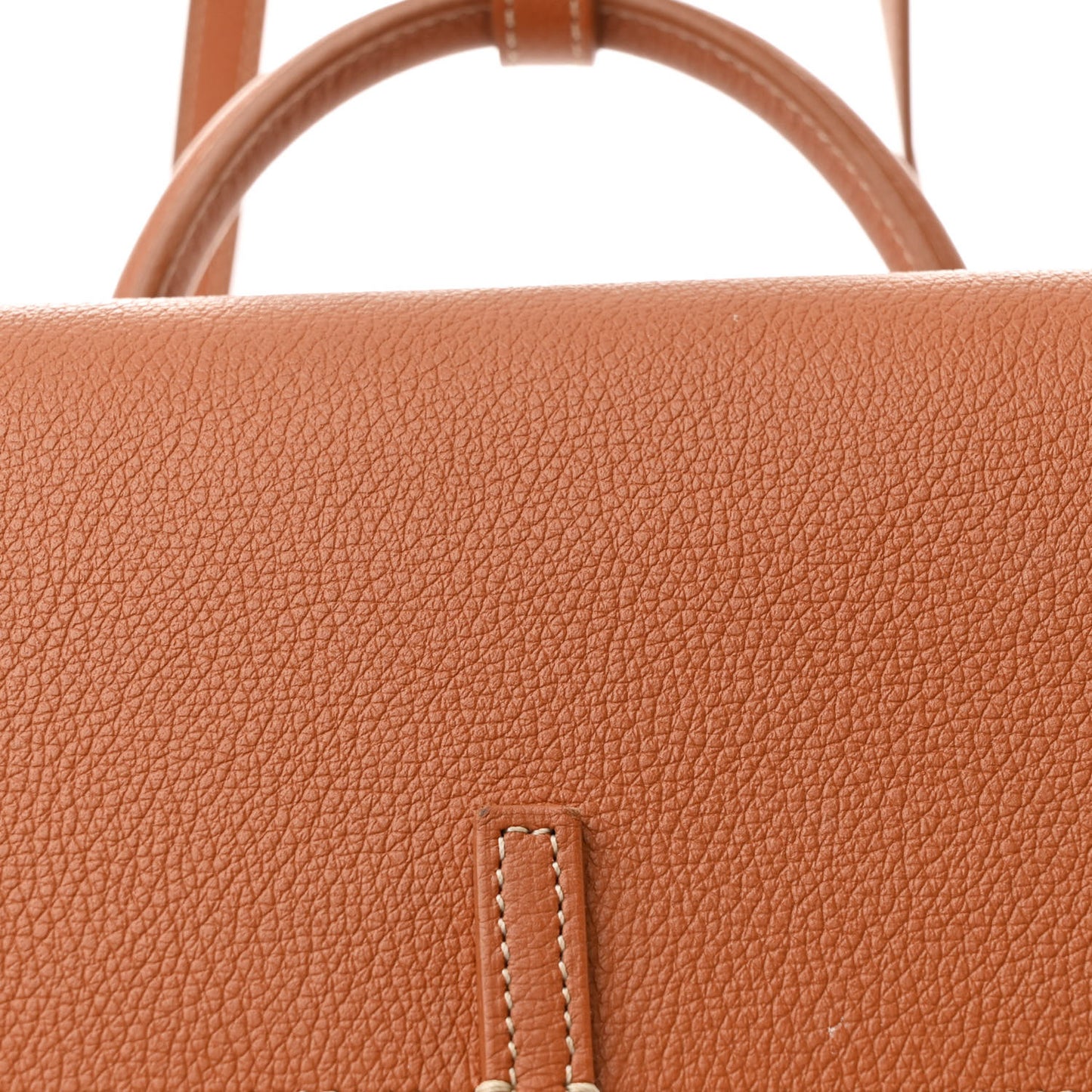 Goyardine Calfskin Mini Alpin Backpack Black Gold