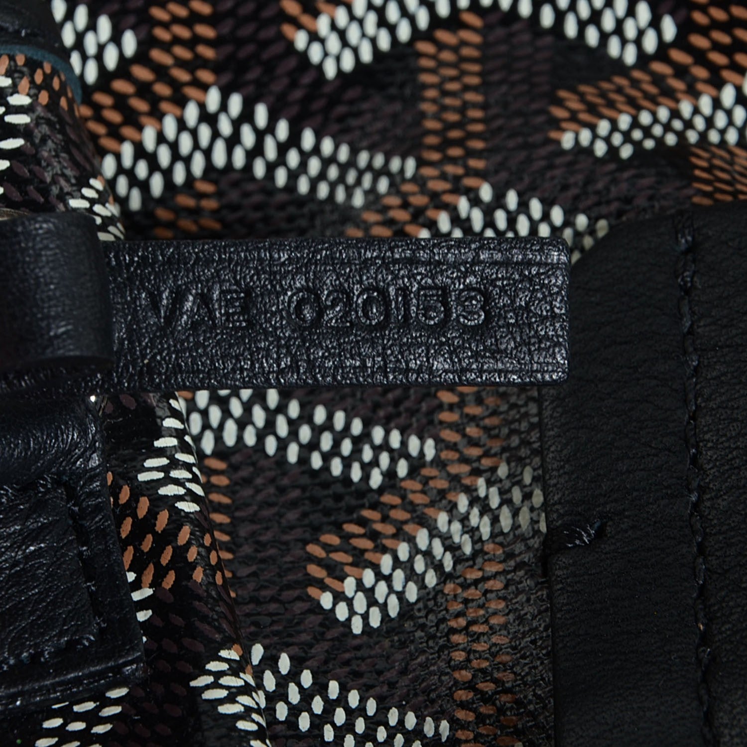 Goyard Goyardine Saint Louis PM Black 7 of 9