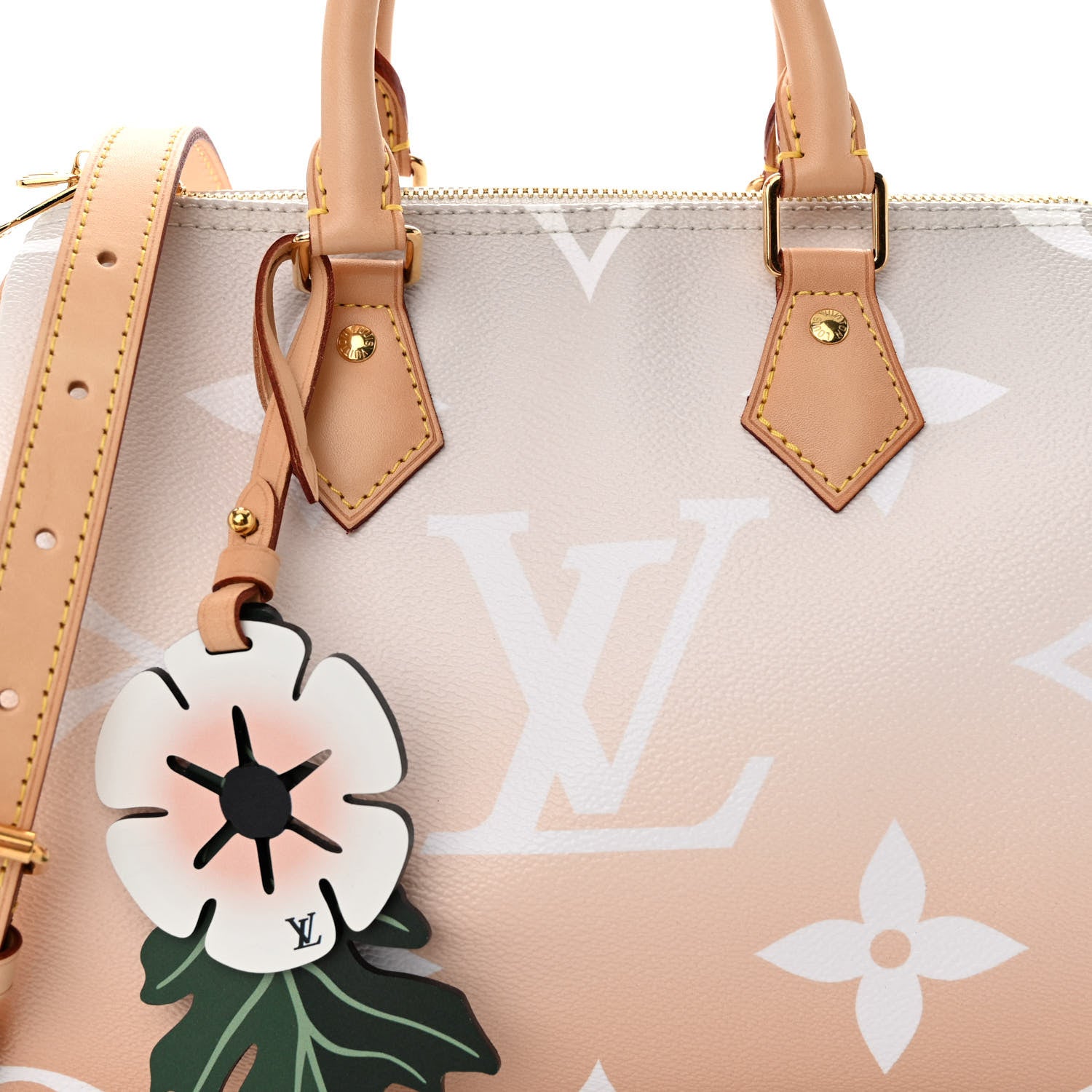 Louis Vuitton Monogram Giant By The Pool Speedy Bandouliere 25 Brume 8 of 10