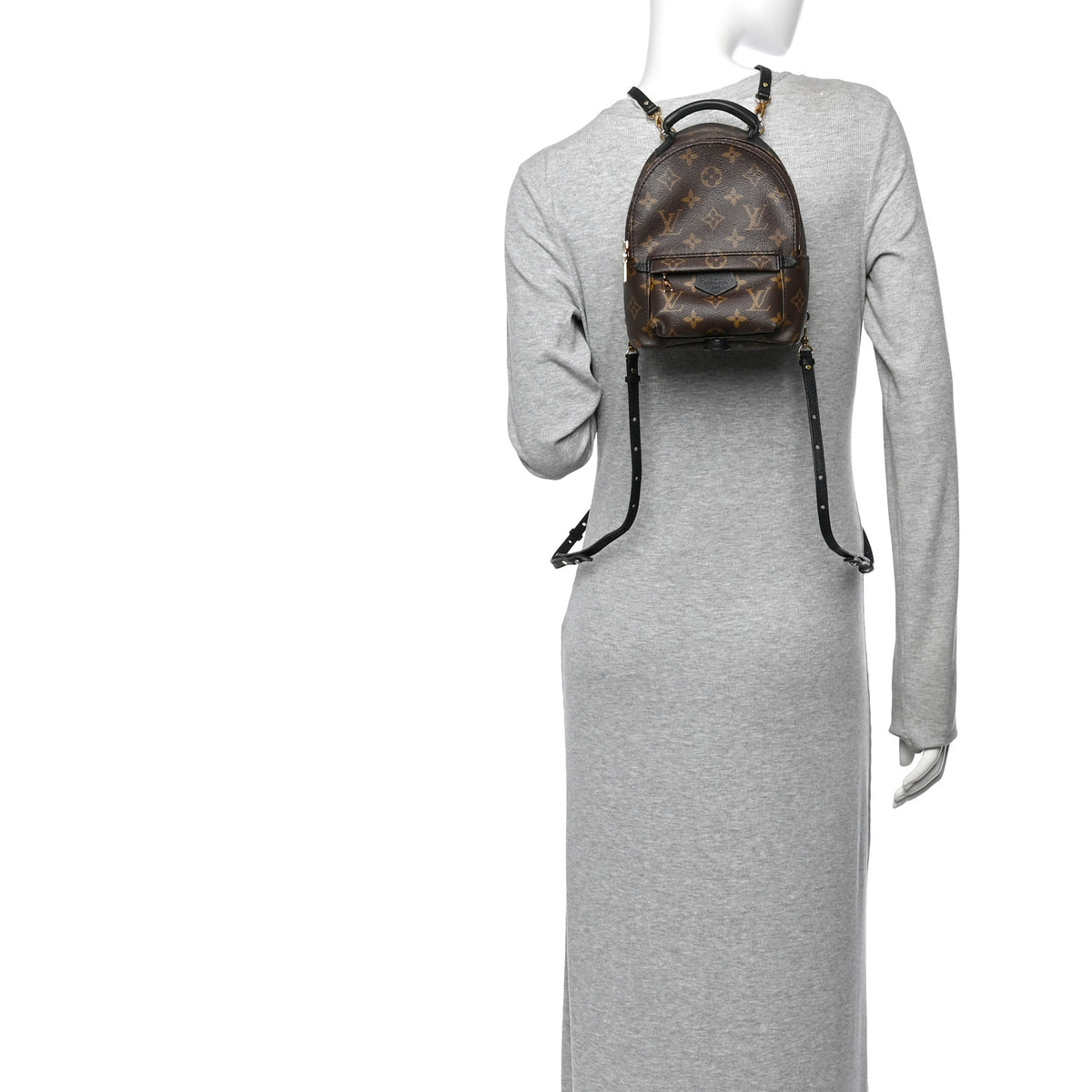 Monogram Palm Springs Backpack Mini