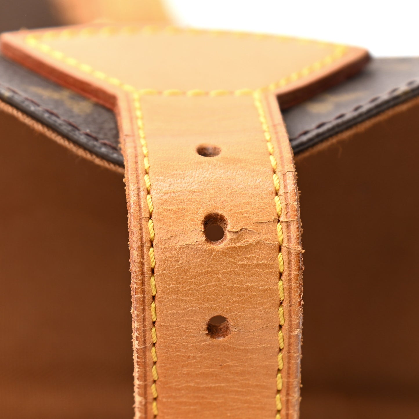 Monogram Montsouris GM Backpack