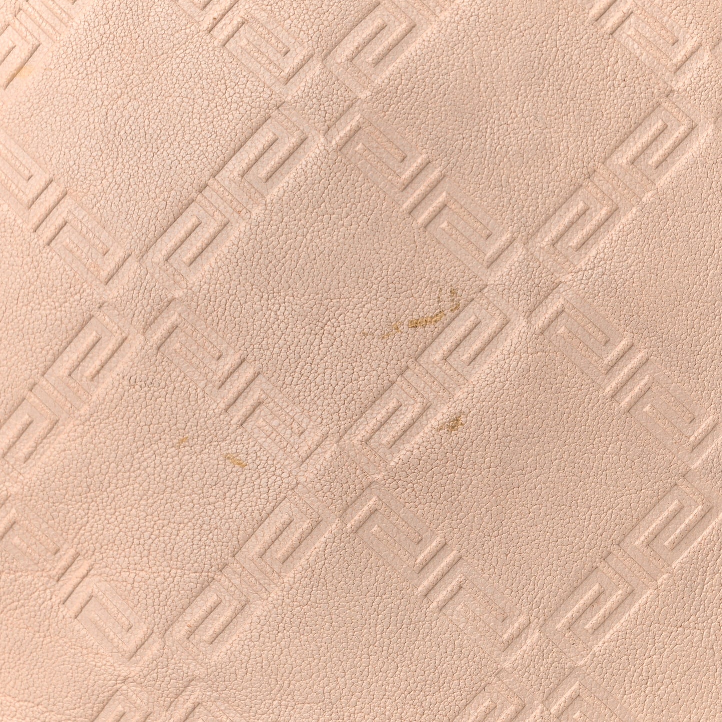 Calfskin Greca Argyle Embossed Medusa Hobo