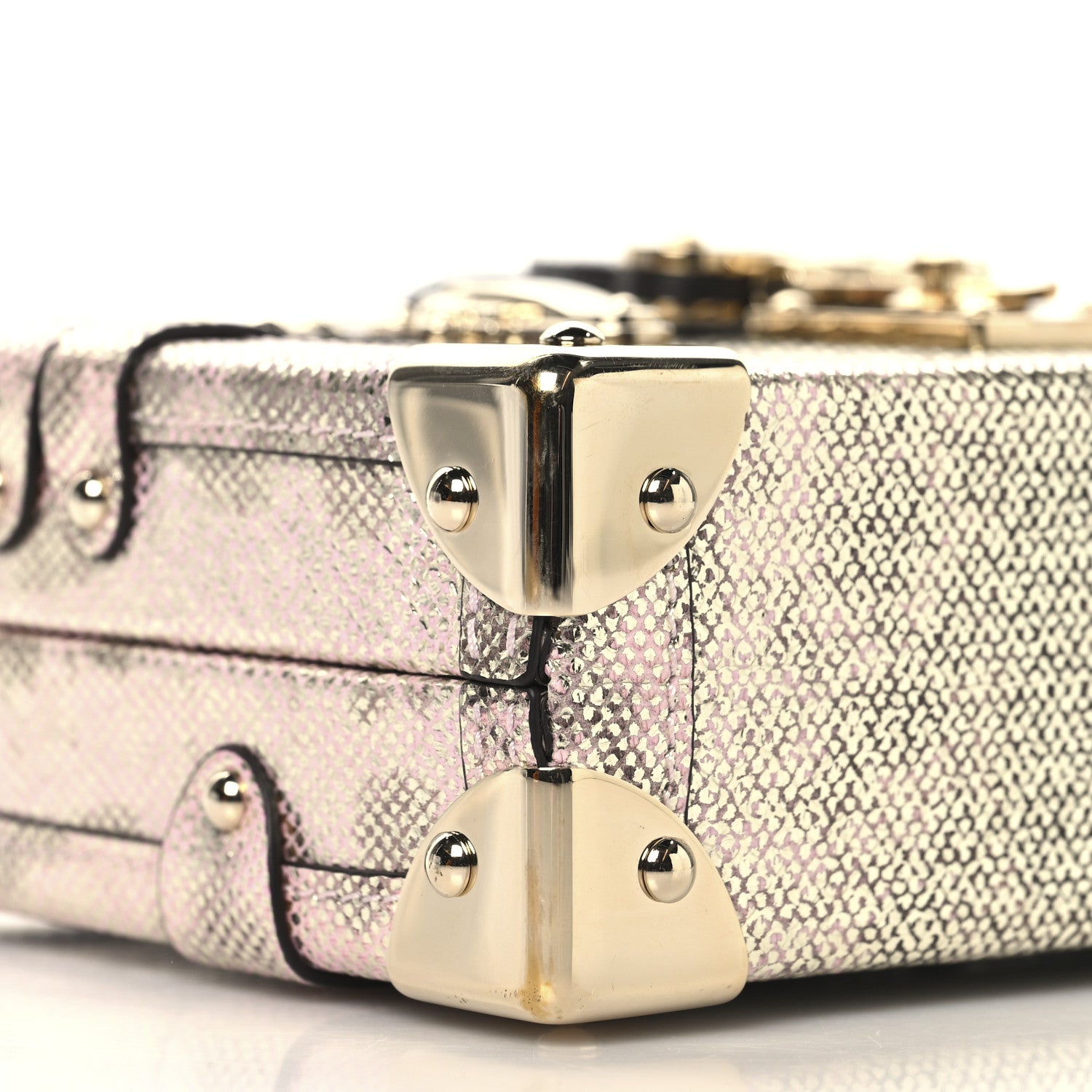 Louis Vuitton Lizard Petite Malle Silver 8 of 12