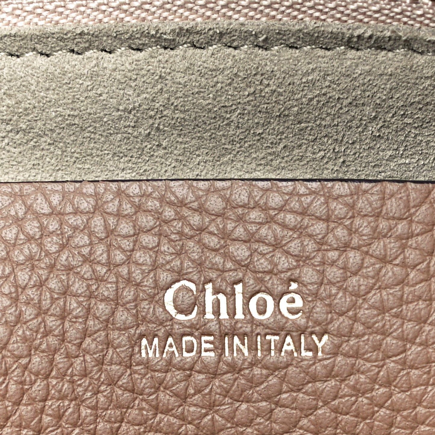 Grained Calfskin Small Hayley Hobo Nut