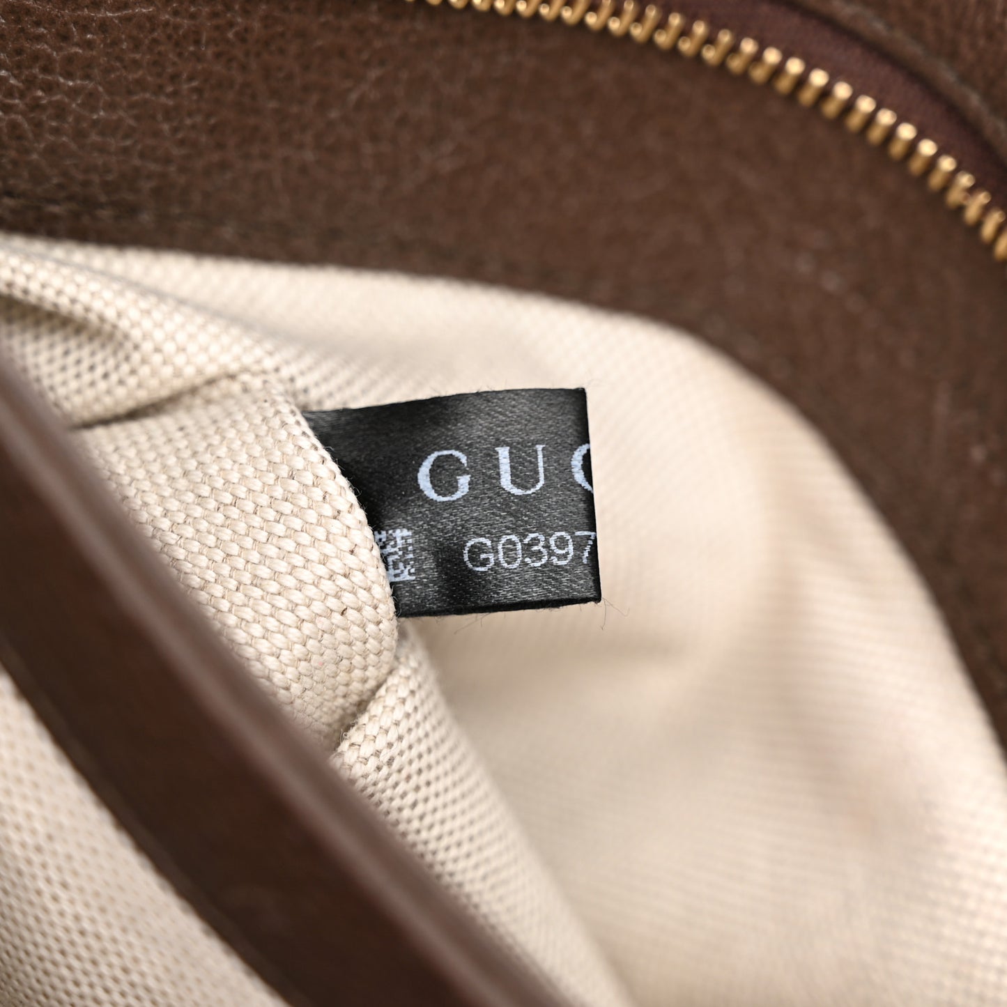 GG Supreme Monogram Textured Dollar Calfskin Web Medium Blondie Top Handle Shoulder Flap Bag Beige Ebony New Acero