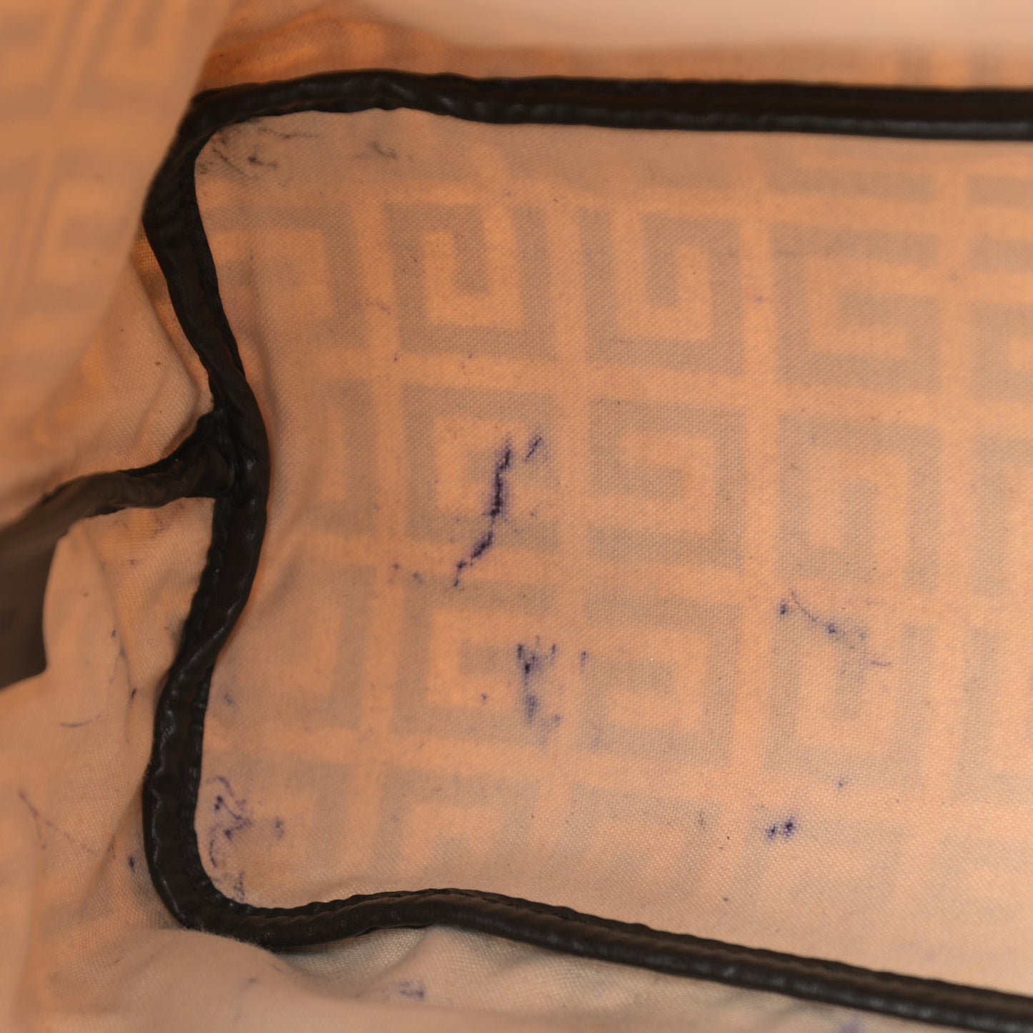 Canvas Logo Antigona Tote