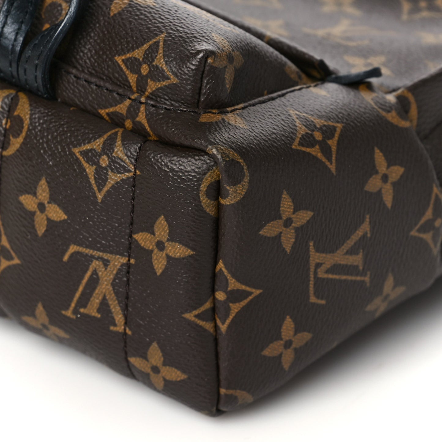 Monogram Palm Springs Backpack Mini