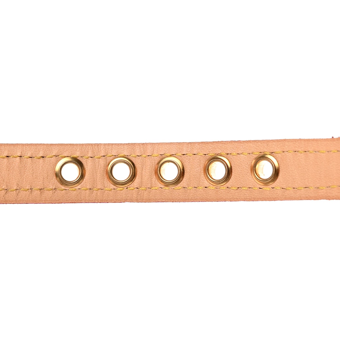 Monogram Baxter Dog Collar PM