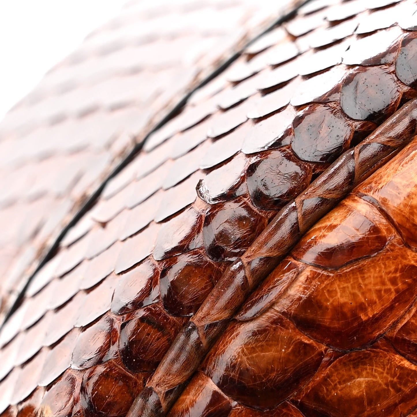 Snakskin Petite Boite Chapeau Brown