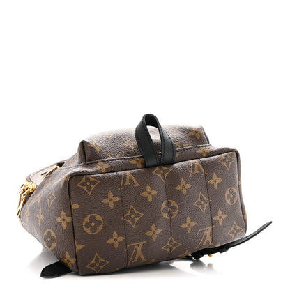 Louis Vuitton Monogram Palm Springs Backpack PM 4 of 12