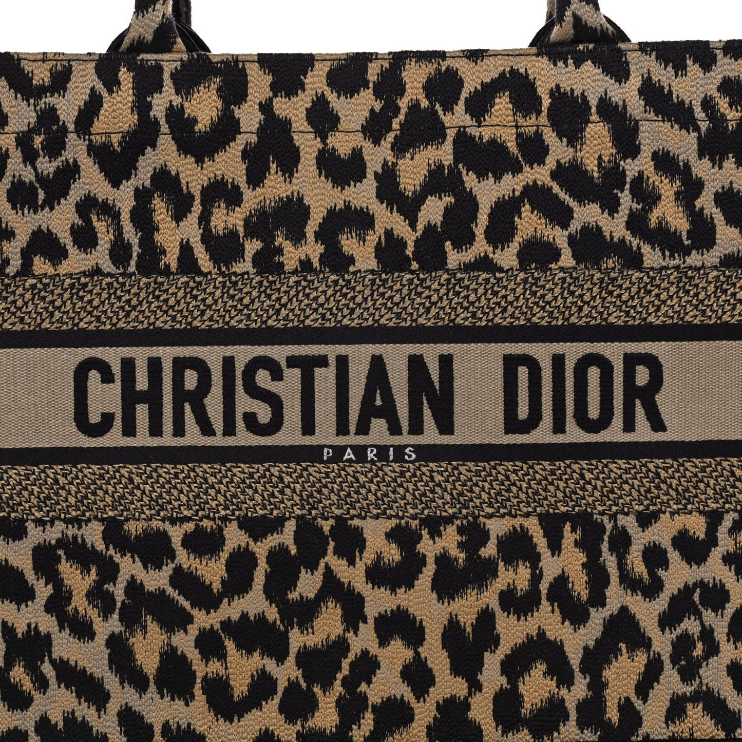 Canvas Mizza Embroidered Medium Leopard Book Tote Beige