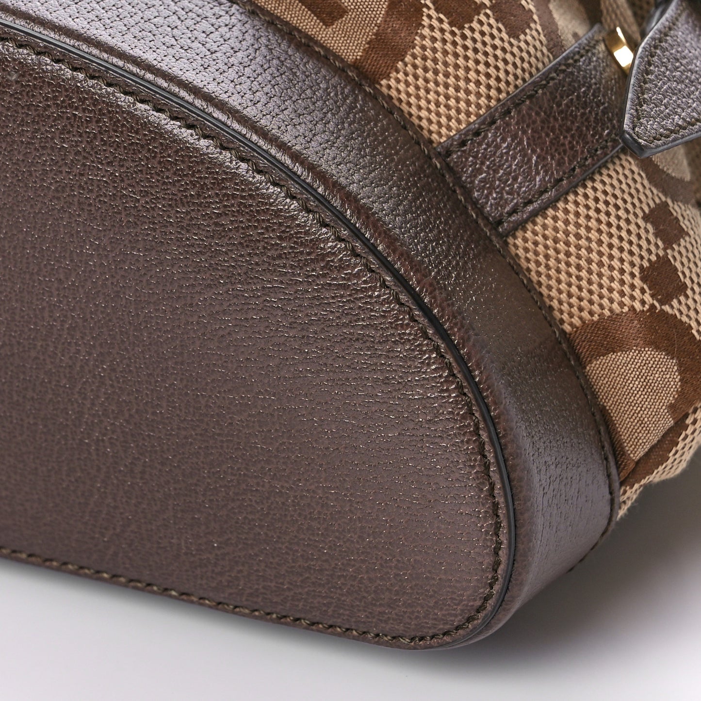 Monogram Jumbo GG Textured Dollar Calfskin Web Double Buckle Backpack Camel Ebony New Acero