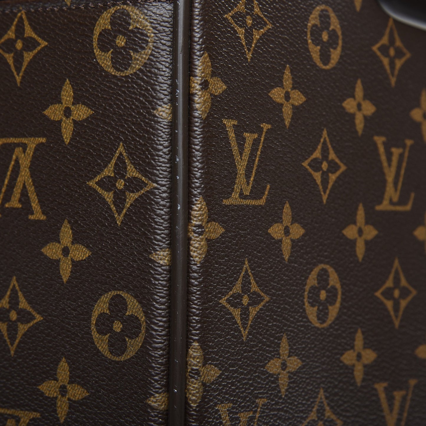 Monogram Pegase 55 Business
