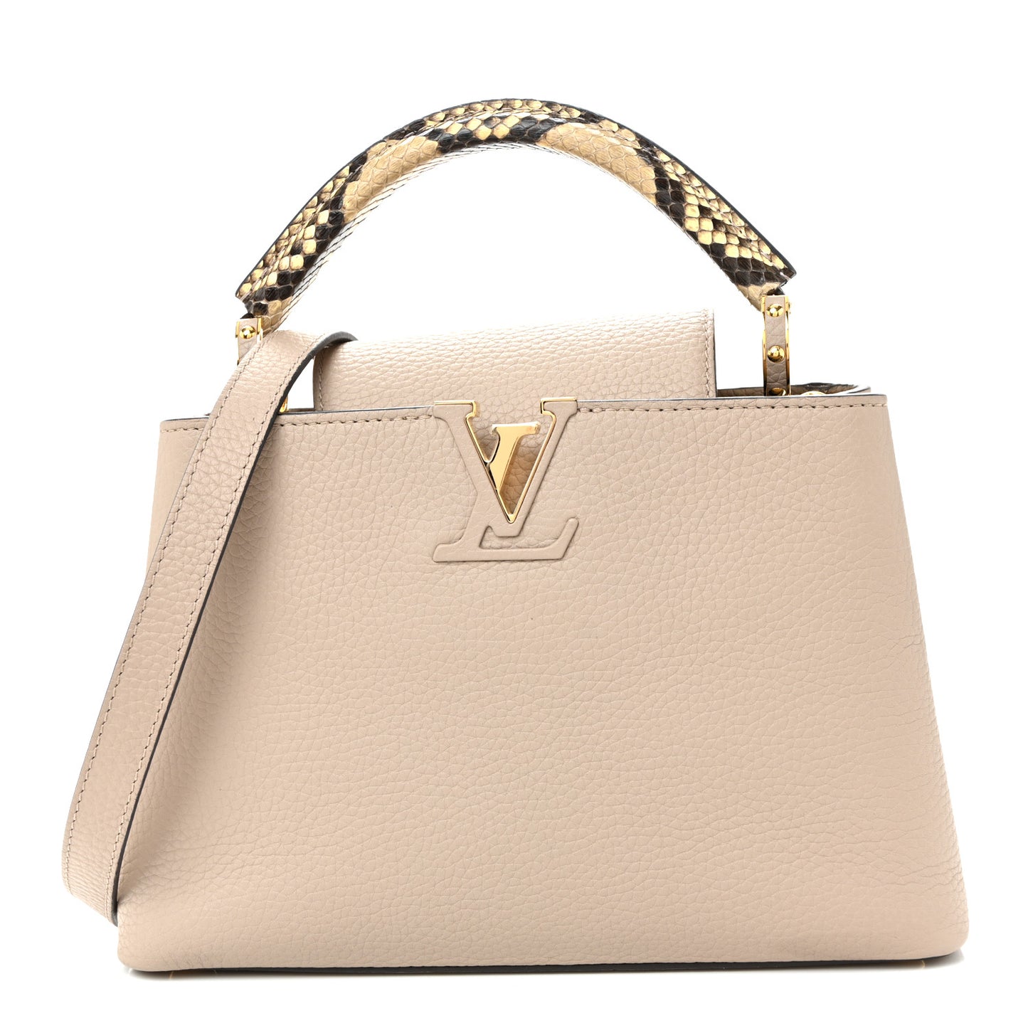 Taurillon Ayers Capucines BB Galet