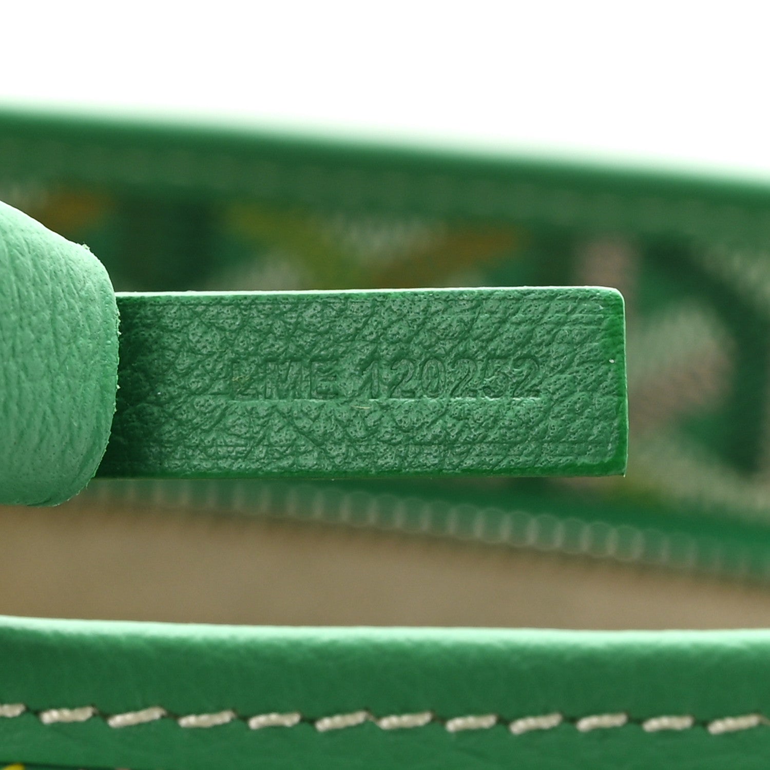 Goyard Goyardine Boheme Hobo Meadow Green 8 of 11