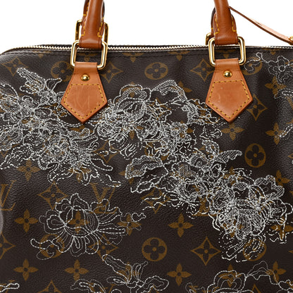 Louis Vuitton Monogram Dentelle Speedy 30 Silver 7 of 9