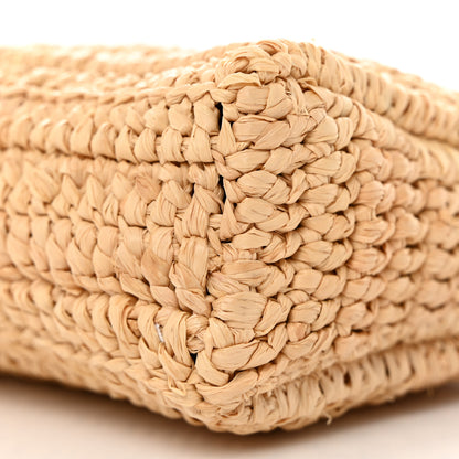 Saint Laurent Raffia Calfskin Gaby Crossbody Bag Natural Brick 10 of 10