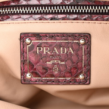 Prada Fox Fur Snakeskin Chain Bag 6 of 11