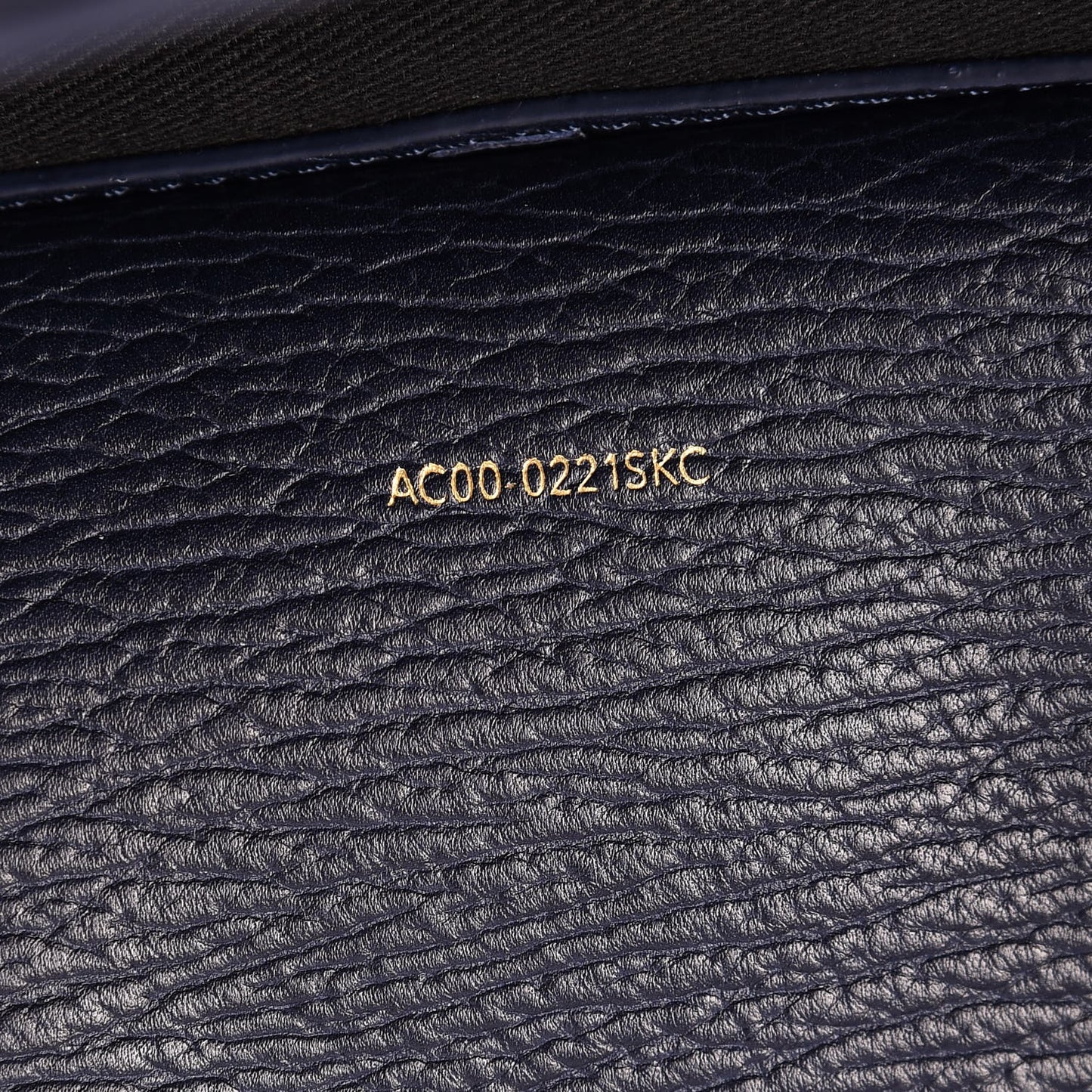 3.1 Textured Calfskin Large Pashli Satchel Ink