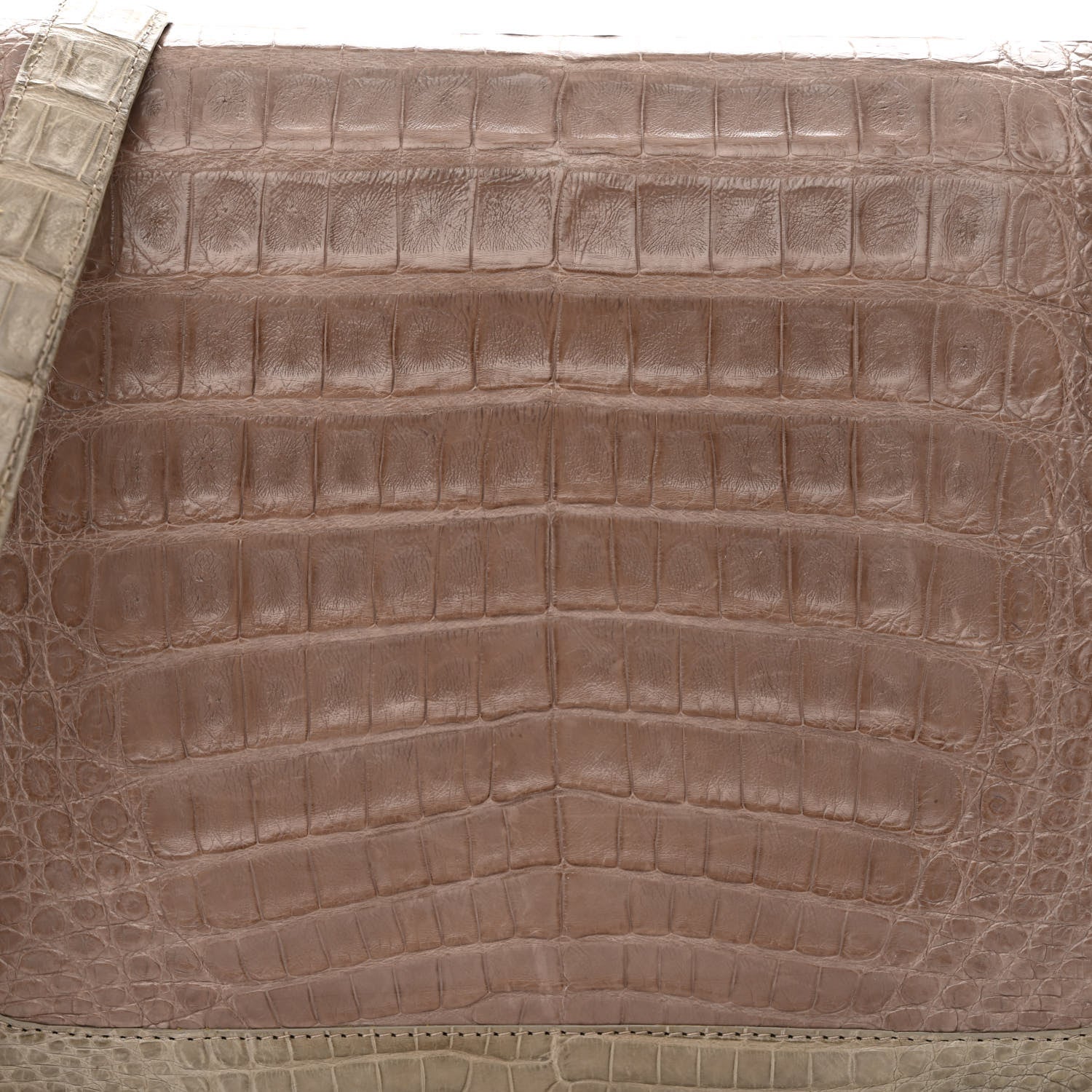 Nancy Gonzalez Crocodile Crossbody Bag Taupe 8 of 10