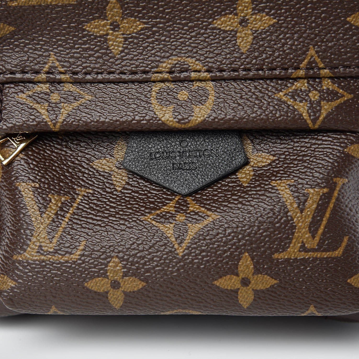 Louis Vuitton Monogram Palm Springs Backpack Mini 6 of 8