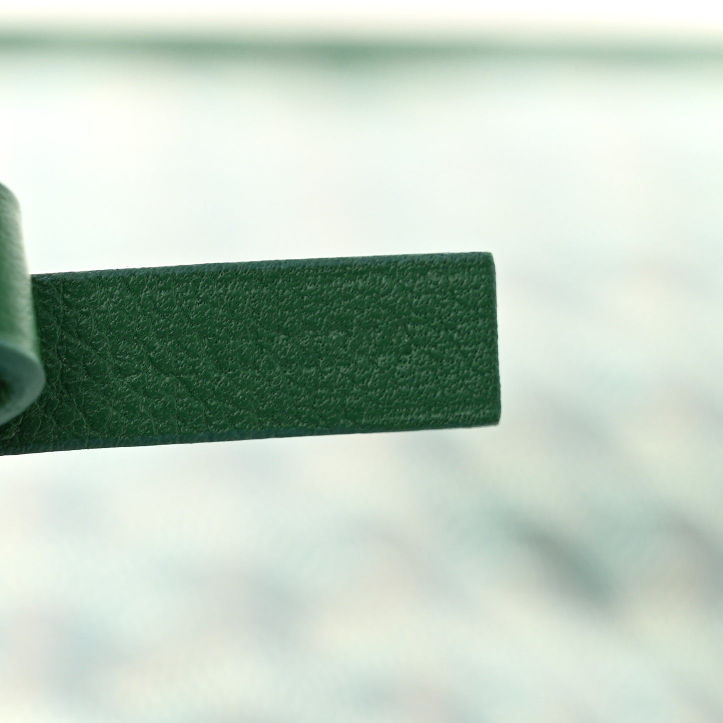 Goyardine Reversible Mini Anjou Green