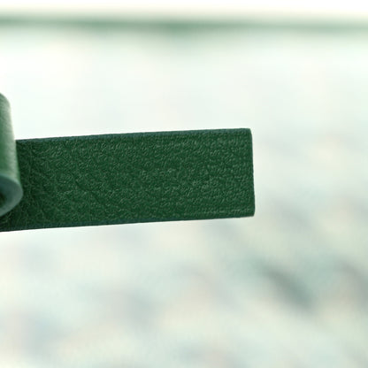 Goyard Goyardine Reversible Mini Anjou Green 13 of 19
