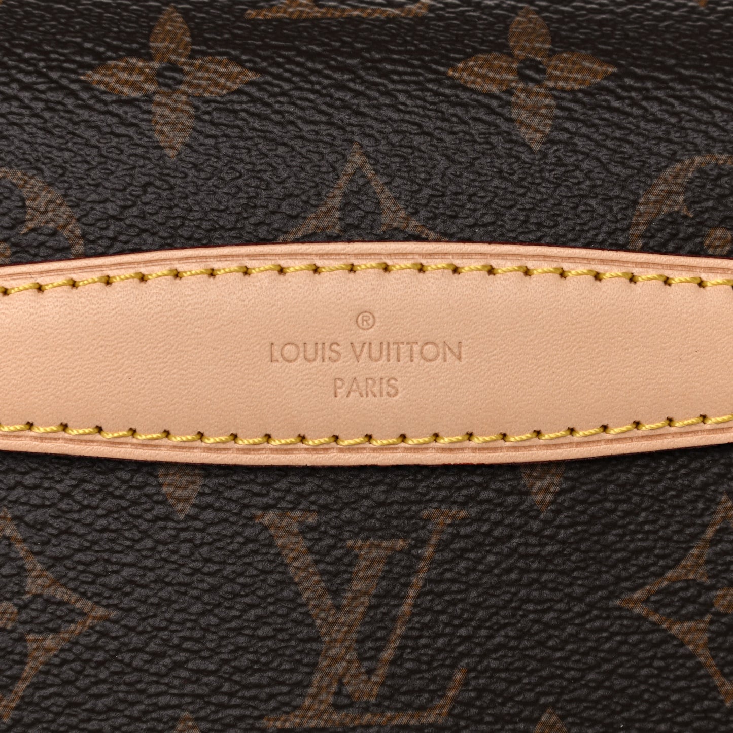 Monogram Bumbag