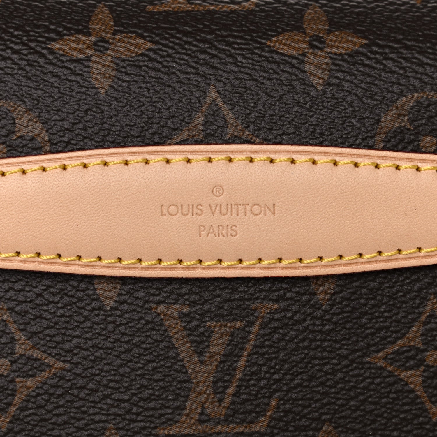 Louis Vuitton Monogram Bumbag 10 of 10