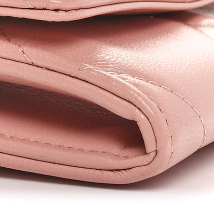 Chanel Goatskin Quilted Chanel 19 Flap Wallet Light Pink 10 of 11