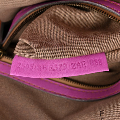 Fendi Agnello Sfumato Doctor B Hobo Bag Multicolor 7 of 15