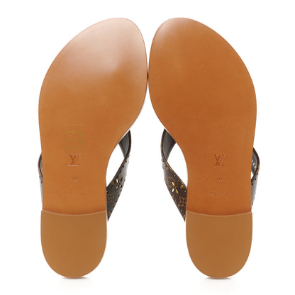 Louis Vuitton Monogram Sunny Flat Thong Sandals 40 Brown 5 of 8