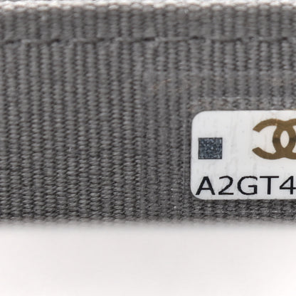 Chanel Lambskin Quilted Chanel 19 Phone Holder With Chain Grey 10 of 15