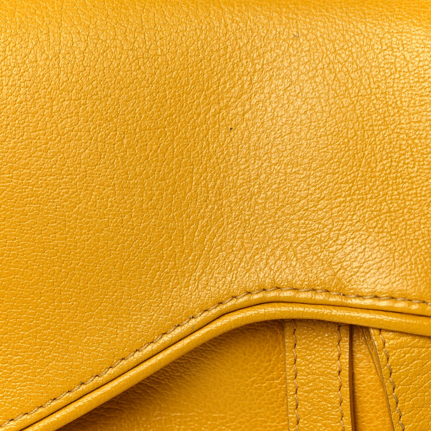 Christian Dior Grained Calfskin Saddle Bag Dark Yellow 10 of 12