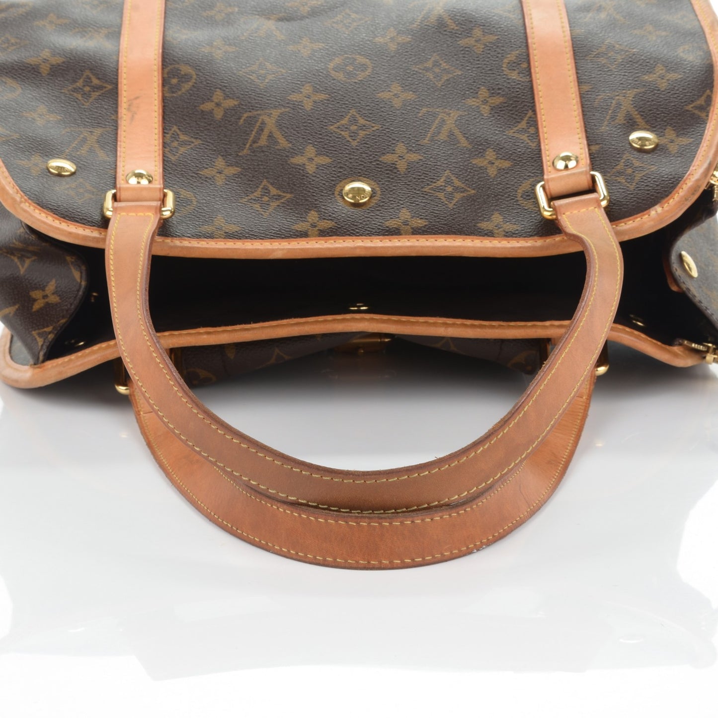 Monogram Baxter PM Dog Pet Carrier