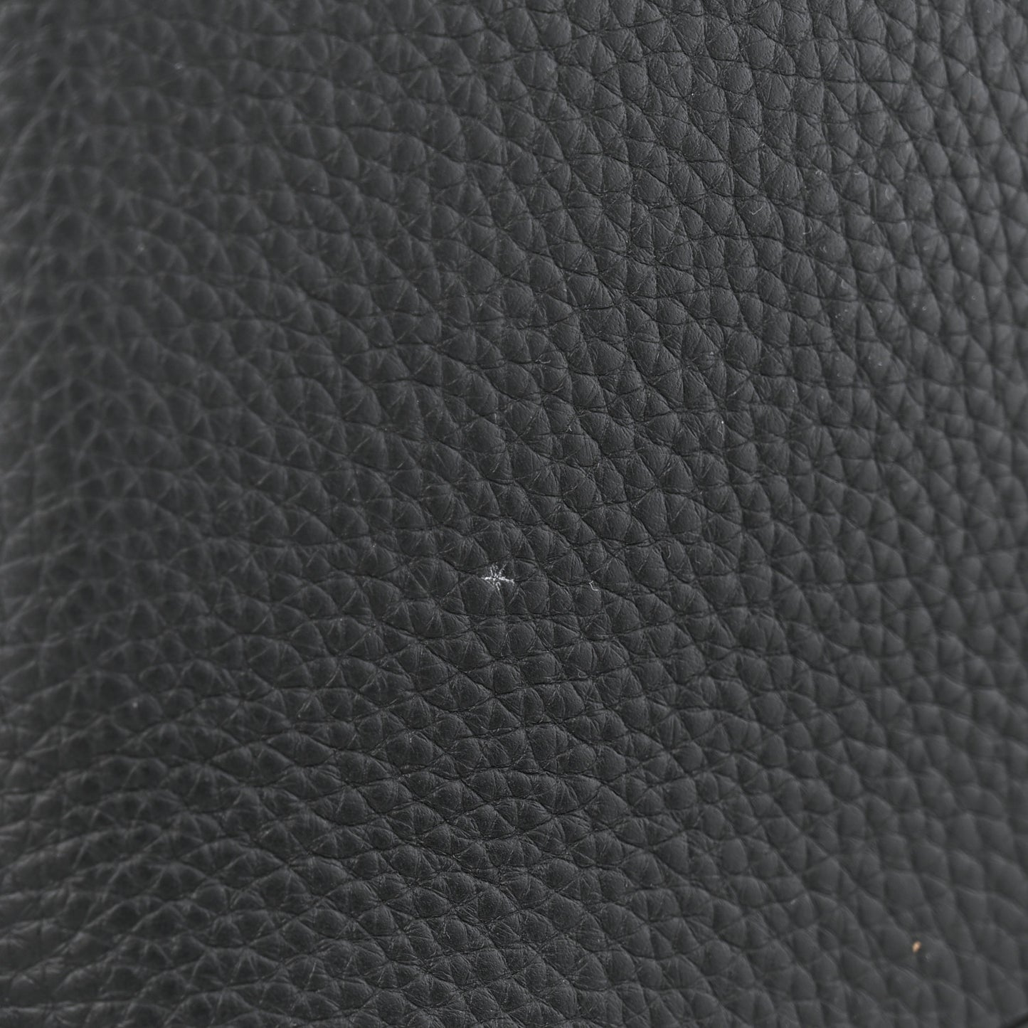 Taurillon Embellished Malletage Crown Capucines MM  Black