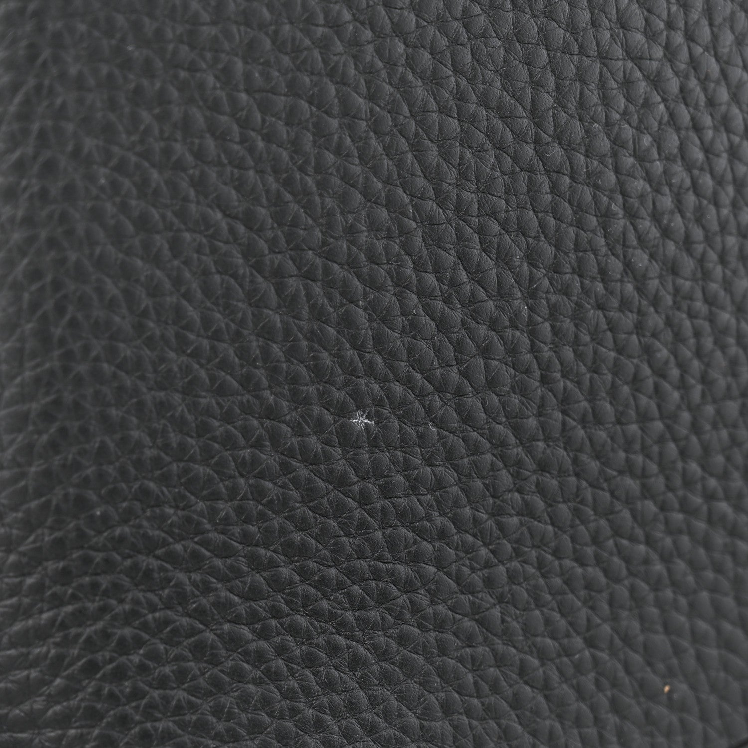 Louis Vuitton Taurillon Embellished Malletage Crown Capucines MM  Black 11 of 12