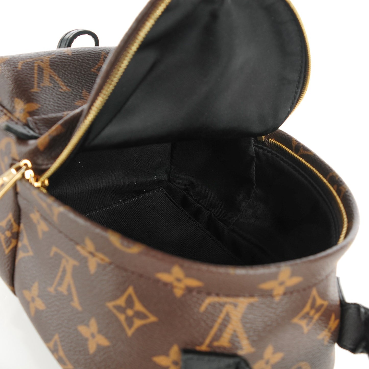 Monogram Palm Springs Backpack Mini