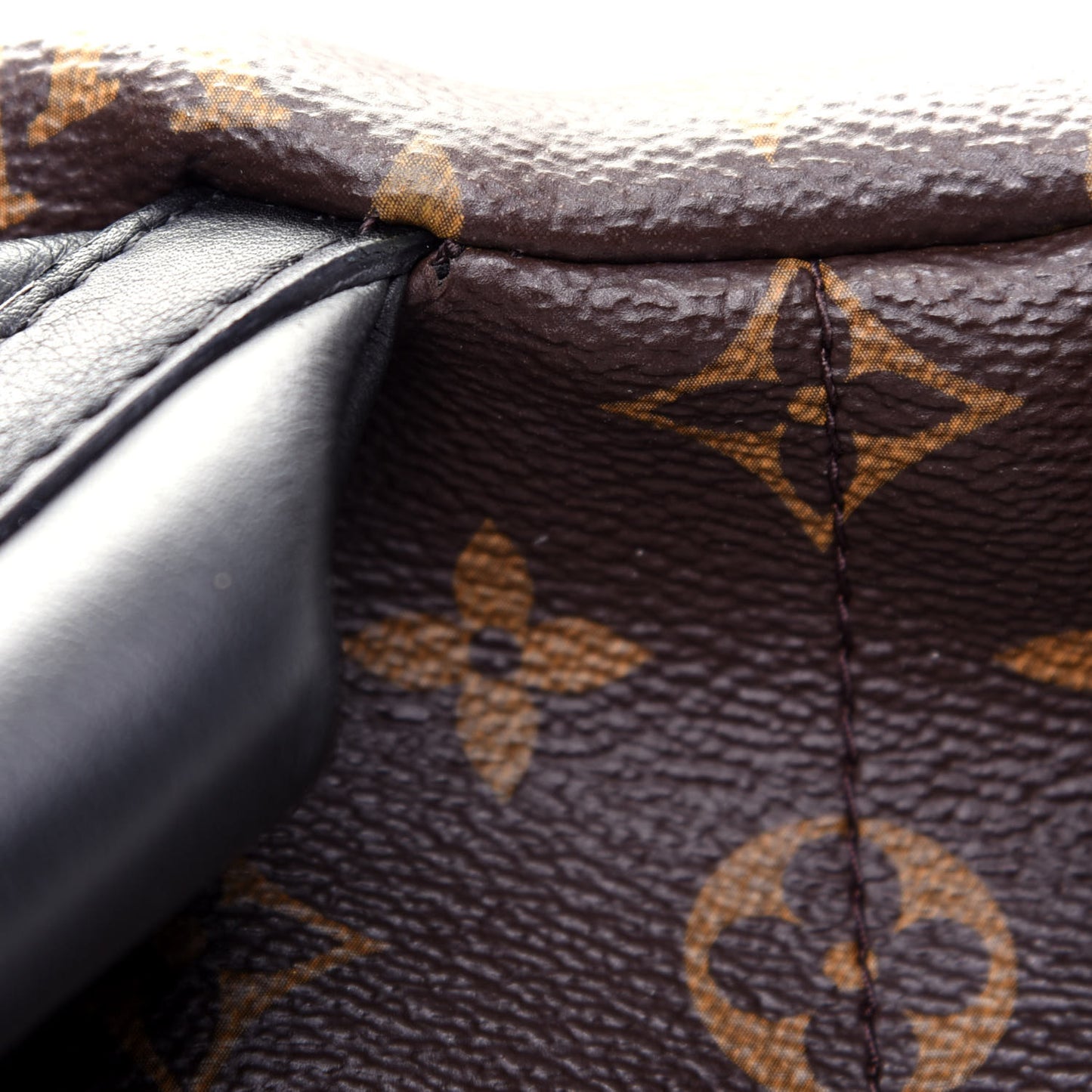 Monogram Palm Springs Backpack MM