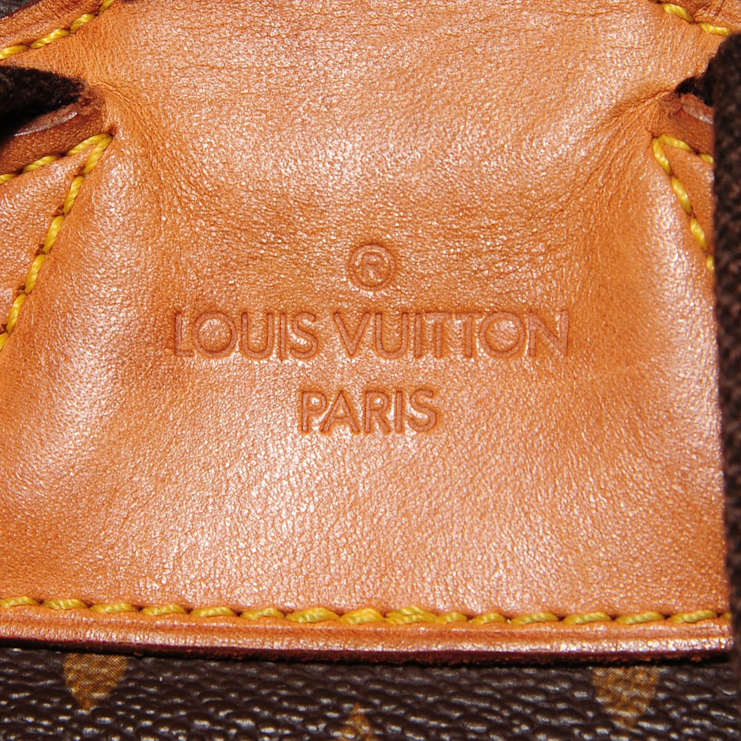 Monogram Montsouris GM Backpack